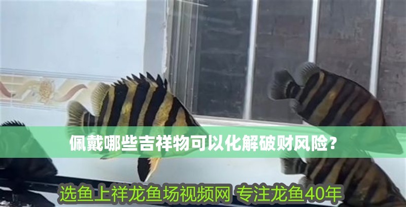 佩戴哪些吉祥物可以化解破財風險？