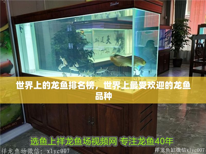 世界上的龍魚排名榜，世界上最受歡迎的龍魚品種