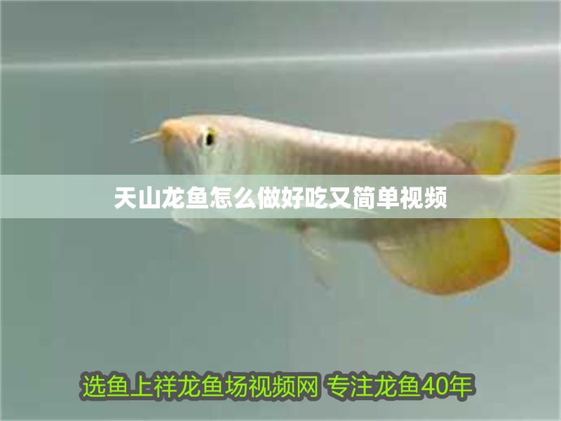 天山龍魚怎么做好吃又簡單視頻 天山龍魚怎么做好吃又簡單視頻 龍魚百科