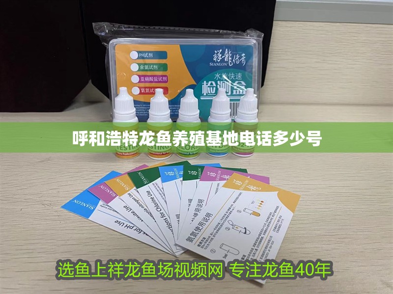 呼和浩特龍魚養殖基地電話多少號