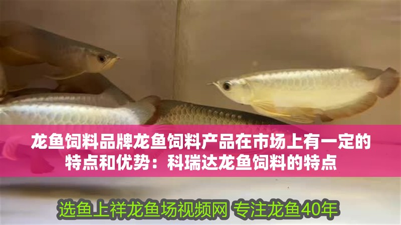 龍魚飼料品牌龍魚飼料產品在市場上有一定的特點和優勢：科瑞達龍魚飼料的特點