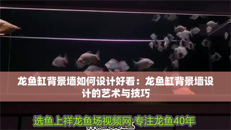 龍魚(yú)缸背景墻如何設(shè)計(jì)好看：龍魚(yú)缸背景墻設(shè)計(jì)的藝術(shù)與技巧