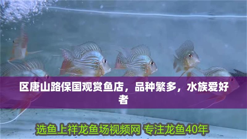 區唐山路保國觀賞魚店，品種繁多，水族愛好者