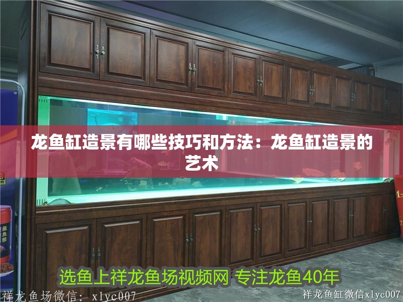 龍魚缸造景有哪些技巧和方法：龍魚缸造景的藝術