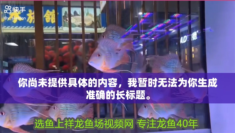 你尚未提供具體的內容，我暫時無法為你生成準確的長標題。