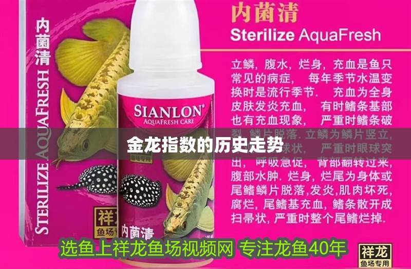 金龍指數的歷史走勢 金龍指數的歷史走勢 龍魚百科