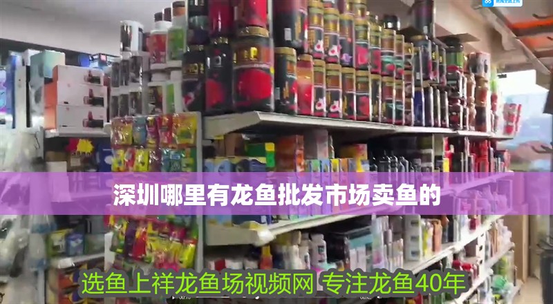 <strong><mark>深圳</mark></strong>哪里有龍魚批發(fā)市場賣魚的