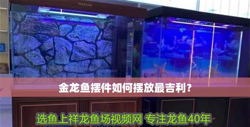 龍魚干蝦有營養(yǎng)嗎 金龍魚擺件如何擺放最吉利? 龍魚百科 金龍魚擺件如何擺放最吉利? 金龍魚擺件如何擺放最吉利? 龍魚百科