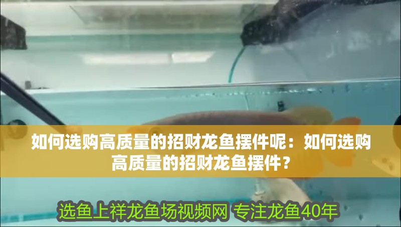 如何選購高質量的招財龍魚擺件呢：如何選購高質量的招財龍魚擺件？