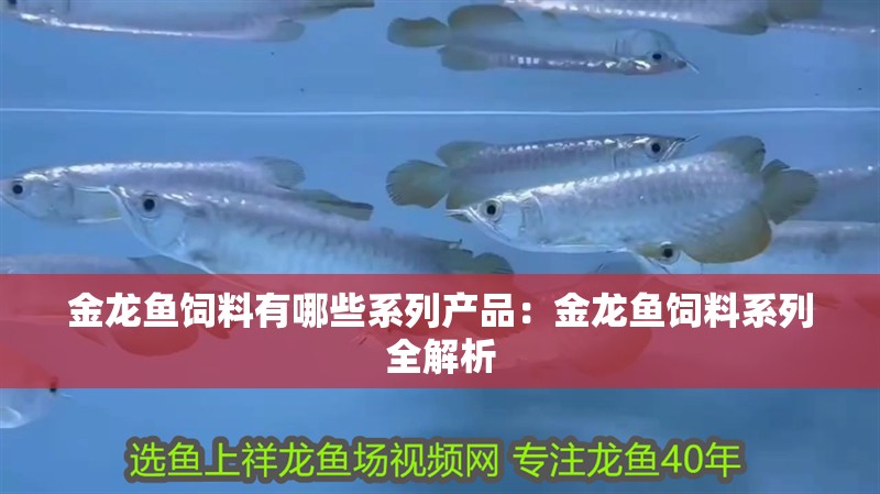 金龍魚飼料有哪些系列產品：金龍魚飼料系列全解析