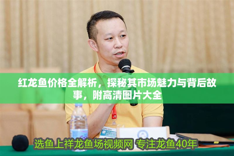紅龍魚價格全解析，探秘其市場魅力與背后故事，附高清圖片大全