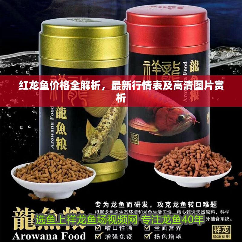 紅龍魚價格全解析，最新行情表及高清圖片賞析