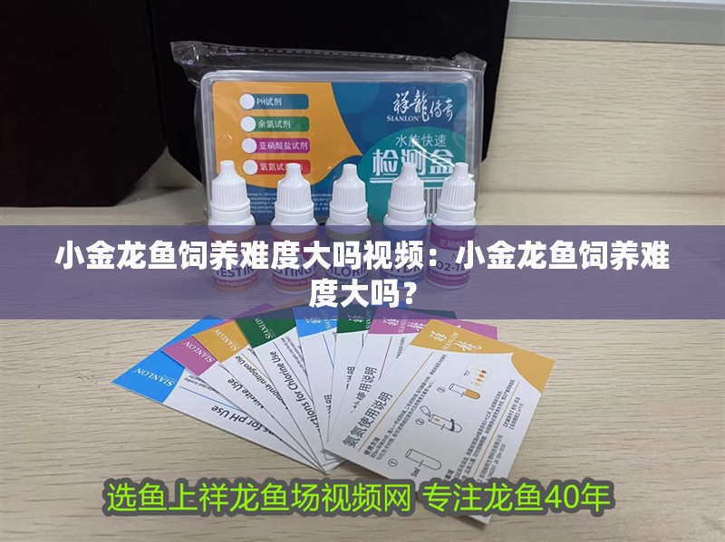 紅龍魚活餌選擇與處理技巧：紅龍魚活餌的選取標(biāo)準(zhǔn)、處理方法以及相關(guān)技巧和建議