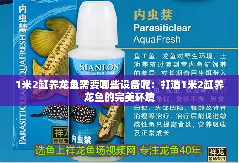 1米2缸養(yǎng)龍魚(yú)需要哪些設(shè)備呢：打造1米2缸養(yǎng)龍魚(yú)的完美環(huán)境
