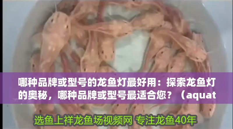 哪種品牌或型號的龍魚燈最好用：探索龍魚燈的奧秘，哪種品牌或型號最適合您？（aquatop龍魚燈的優勢）