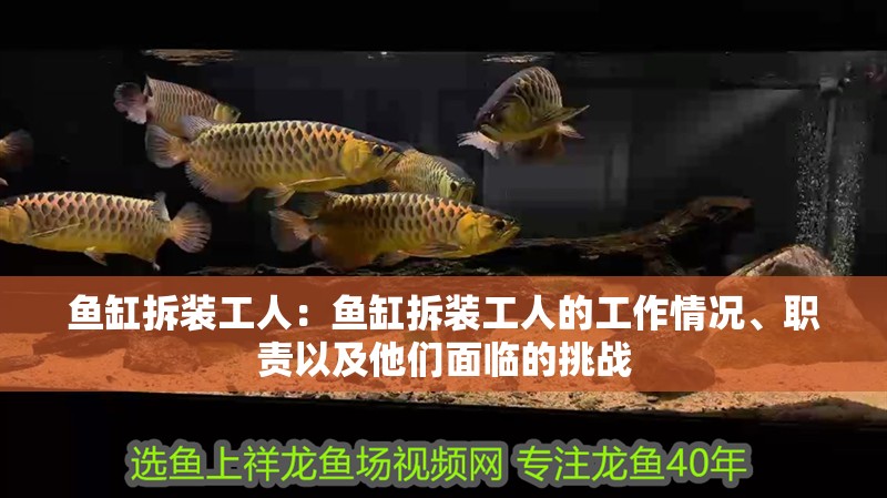 魚(yú)缸拆裝工人：魚(yú)缸拆裝工人的工作情況、職責(zé)以及他們面臨的挑戰(zhàn)