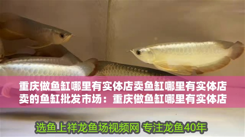 重慶做魚缸哪里有實(shí)體店賣魚缸哪里有實(shí)體店賣的魚缸批發(fā)市場：重慶做魚缸哪里有實(shí)體店賣