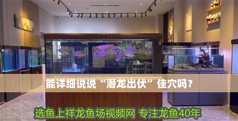 能詳細說說“潛龍出伏”佳穴嗎？