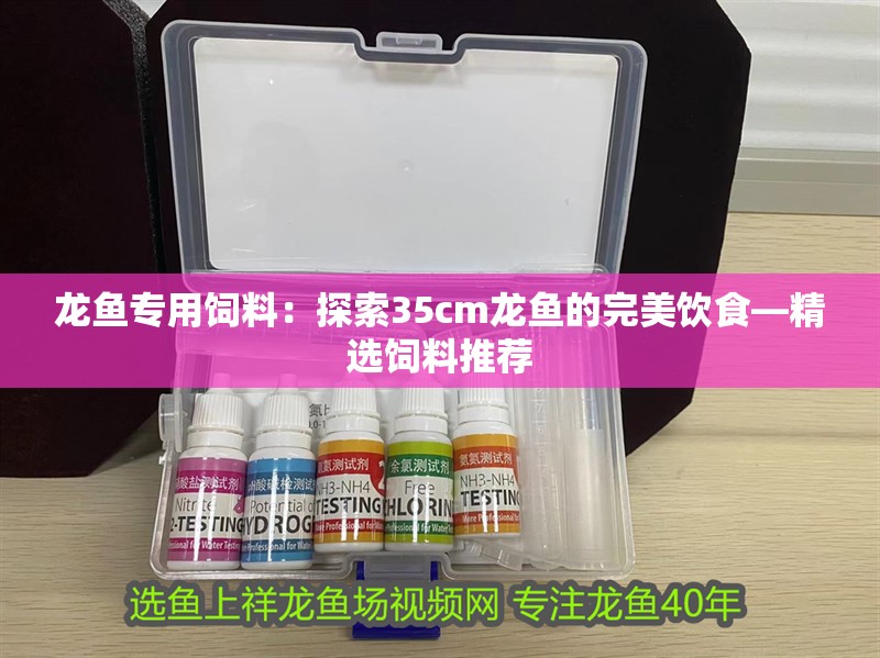 龍魚專用飼料：探索35cm龍魚的完美飲食—精選飼料推薦