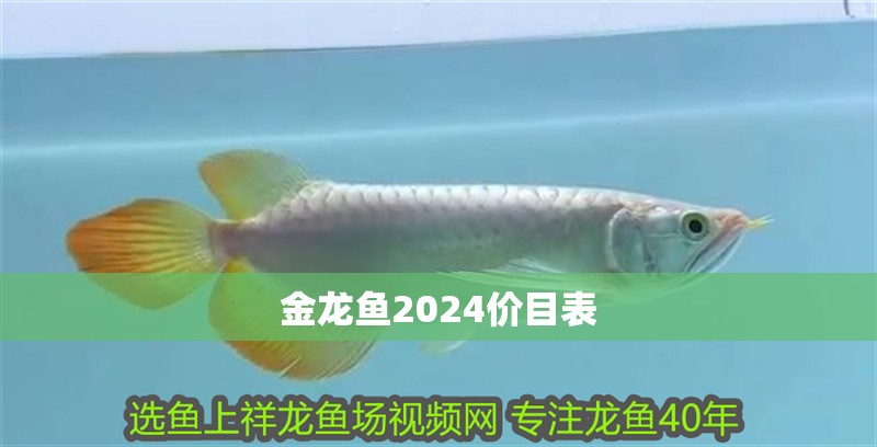 金龍魚2024價目表