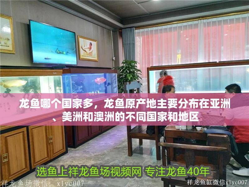 龍魚哪個國家多，龍魚原產(chǎn)地主要分布在亞洲、美洲和澳洲的不同國家和地區(qū)