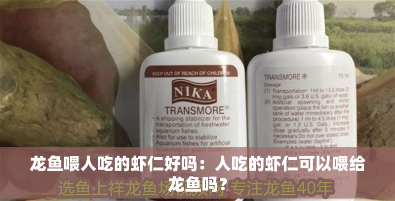龍魚喂人吃的蝦仁好嗎：人吃的蝦仁可以喂給龍魚嗎？