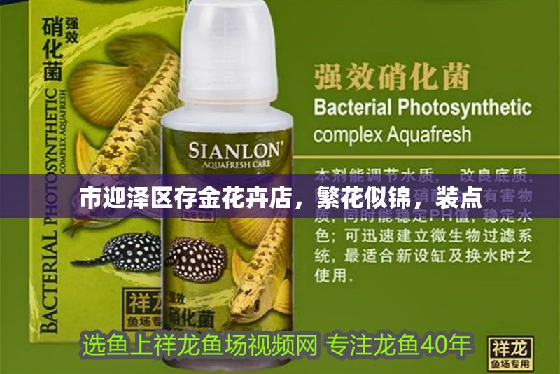 市迎澤區(qū)存金花卉店，繁花似錦，裝點(diǎn) 市迎澤區(qū)存金花卉店，繁花似錦，裝點(diǎn) 全國水族館企業(yè)名錄 第1張