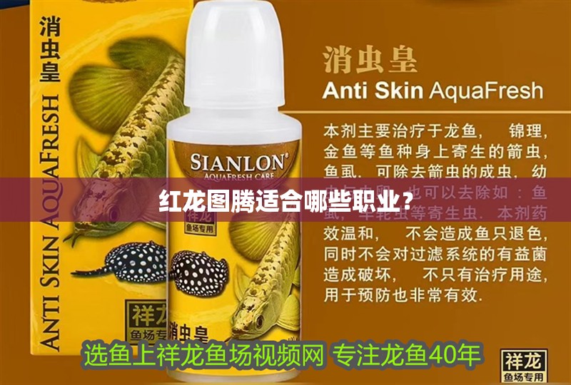 紅龍圖騰適合哪些職業？ 紅龍圖騰適合哪些職業？ 龍魚百科