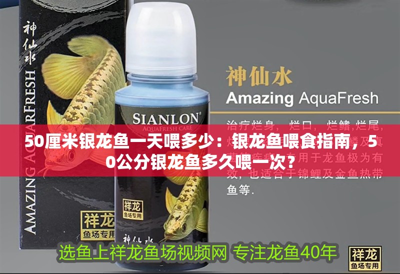 紅龍魚發(fā)色的過程圖片視頻