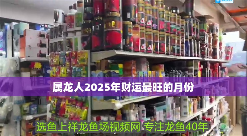 屬龍人2025年財運最旺的月份