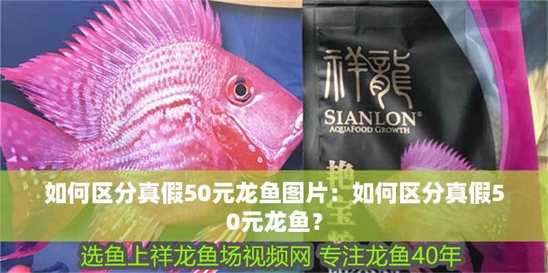 如何區分真假50元龍魚圖片：如何區分真假50元龍魚？