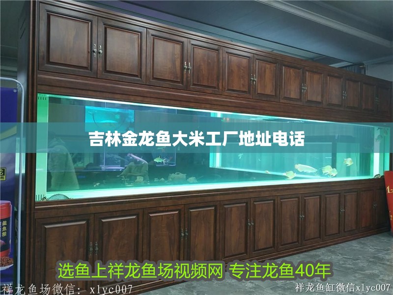 紅龍魚40長到60需要多久