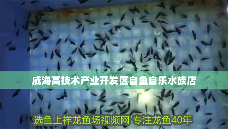 威海高技術產業開發區自魚自樂水族店 全國水族館企業名錄 第1張 威海高技術產業開發區自魚自樂水族店 威海高技術產業開發區自魚自樂水族店 全國水族館企業名錄 第1張