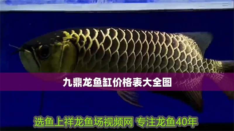 九鼎龍魚缸價格表大全圖