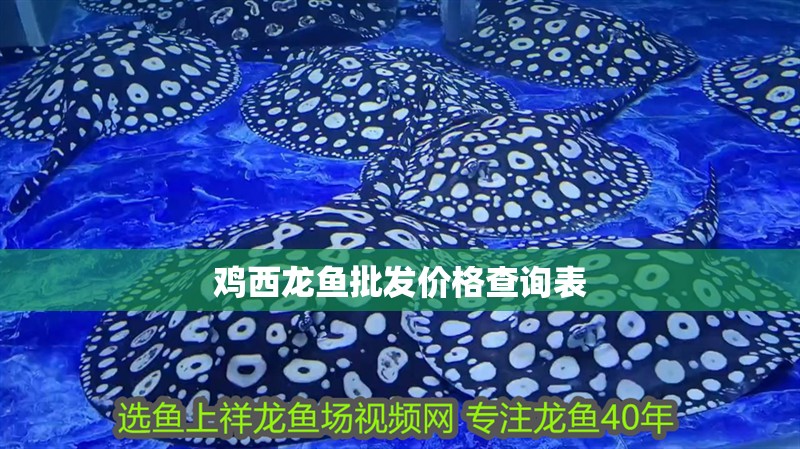 雞西龍魚批發價格查詢表