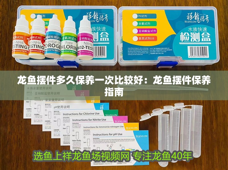 龍魚擺件多久保養一次比較好：龍魚擺件保養指南