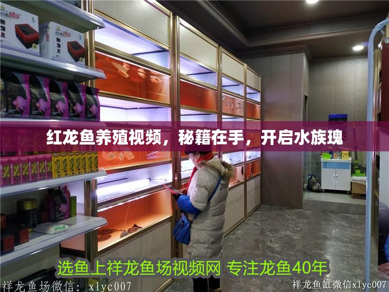 紅龍魚養殖視頻，秘籍在手，開啟水族瑰
