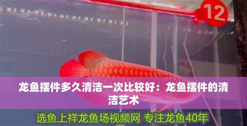 龍魚擺件多久清潔一次比較好：龍魚擺件的清潔藝術