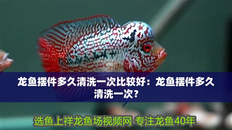 龍魚擺件多久清洗一次比較好：龍魚擺件多久清洗一次？