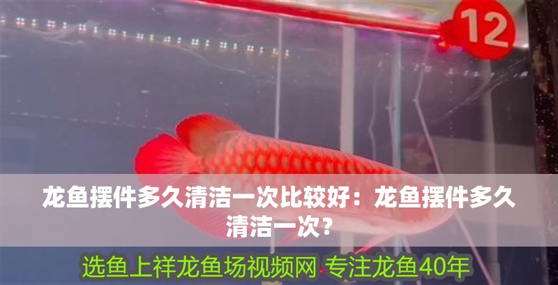 龍魚擺件多久清潔一次比較好：龍魚擺件多久清潔一次？