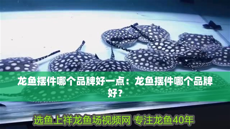龍魚擺件哪個品牌好一點：龍魚擺件哪個品牌好？