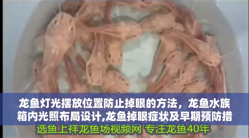 龍魚燈光擺放位置防止掉眼的方法，龍魚水族箱內光照布局設計,龍魚掉眼癥狀及早期預防措施