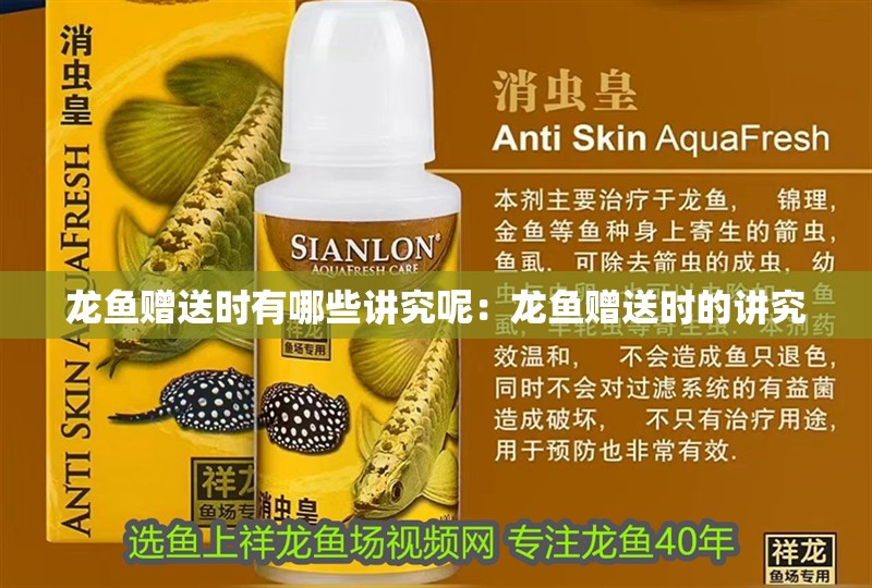 龍魚贈送時有哪些講究呢：龍魚贈送時的講究