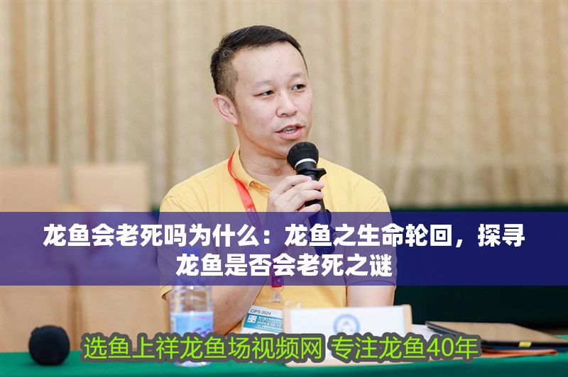 龍魚會老死嗎為什么：龍魚之生命輪回，探尋龍魚是否會老死之謎