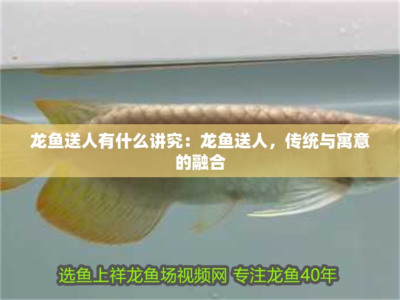 龍魚送人有什么講究：龍魚送人，傳統與寓意的融合