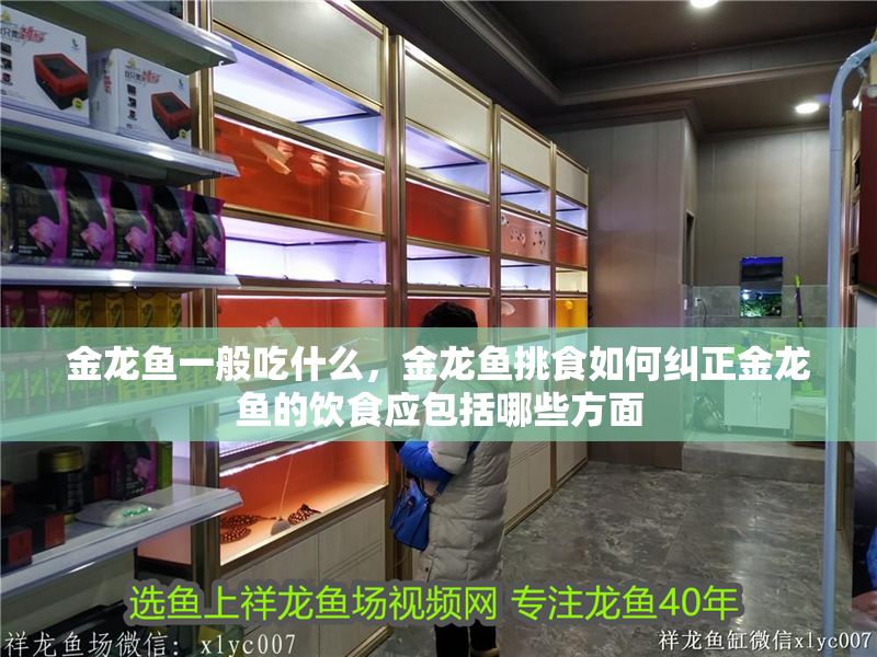 金龍魚一般吃什么，金龍魚挑食如何糾正金龍魚的飲食應包括哪些方面 金龍魚一般吃什么，金龍魚挑食如何糾正金龍魚的飲食應包括哪些方面 龍魚百科 第2張