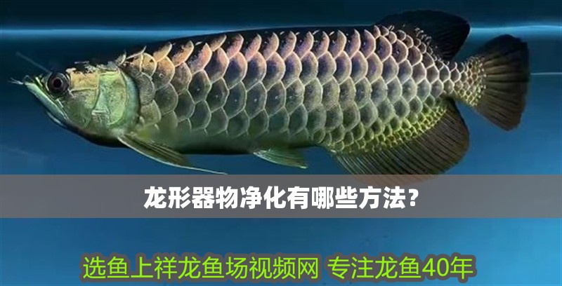 龍形器物凈化有哪些方法？