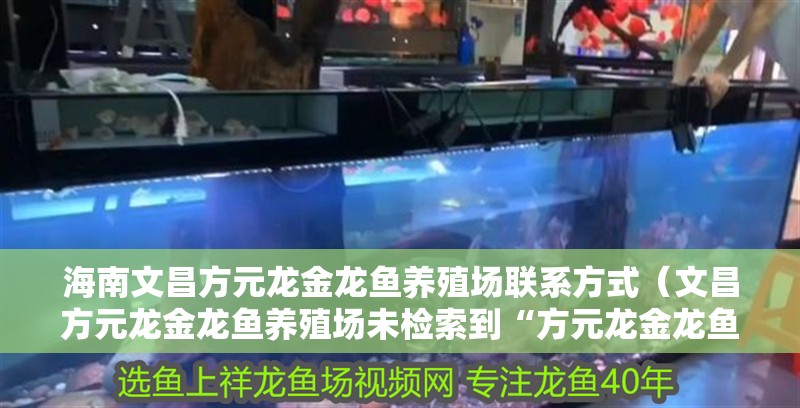 海南<strong><mark>文昌</mark></strong>方元龍金龍魚養殖場聯系方式（<strong><mark>文昌</mark></strong>方元龍金龍魚養殖場未檢索到“方元龍金龍魚養殖場”直接聯系方式）