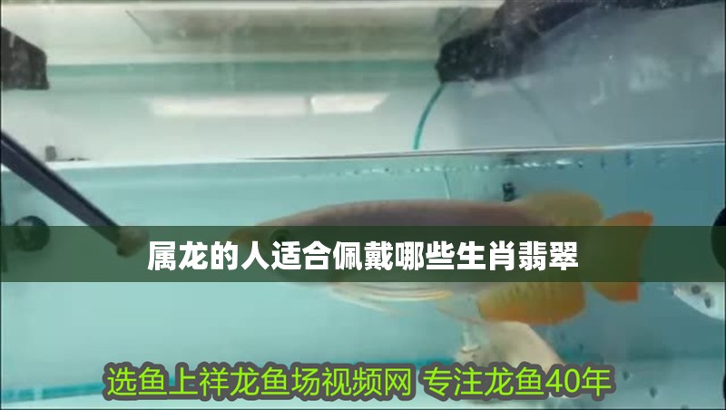 屬龍的人適合佩戴哪些生肖翡翠
