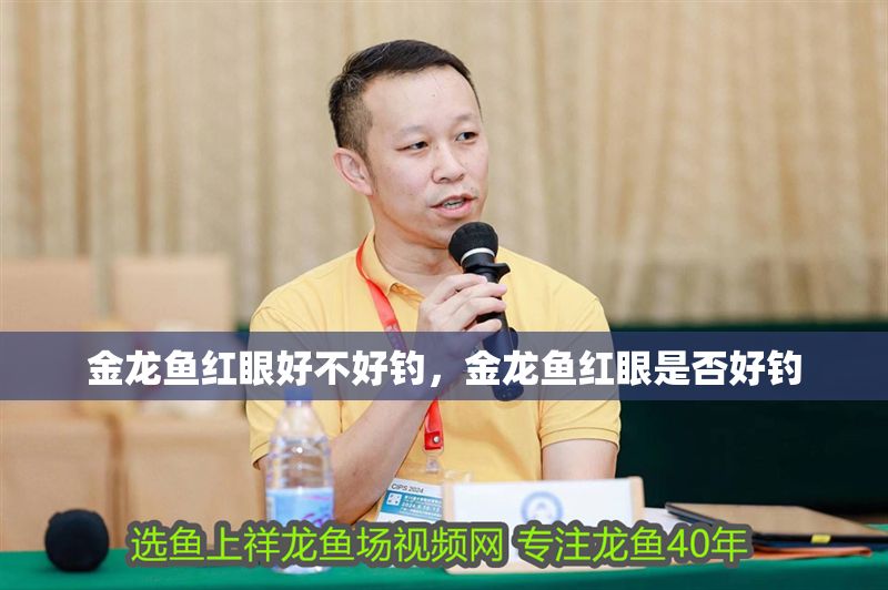 金龍魚紅眼好不好釣，金龍魚紅眼是否好釣